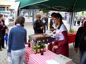 Emmendinger Nacht / Emmendinger Leistungsschau 2008