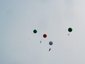 Emmendinger Nacht / Emmendinger Leistungsschau 2008