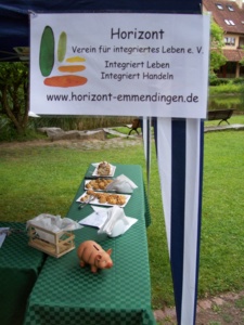 Pavillion-Klänge 2009