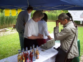 Pavillion-Klänge 2009